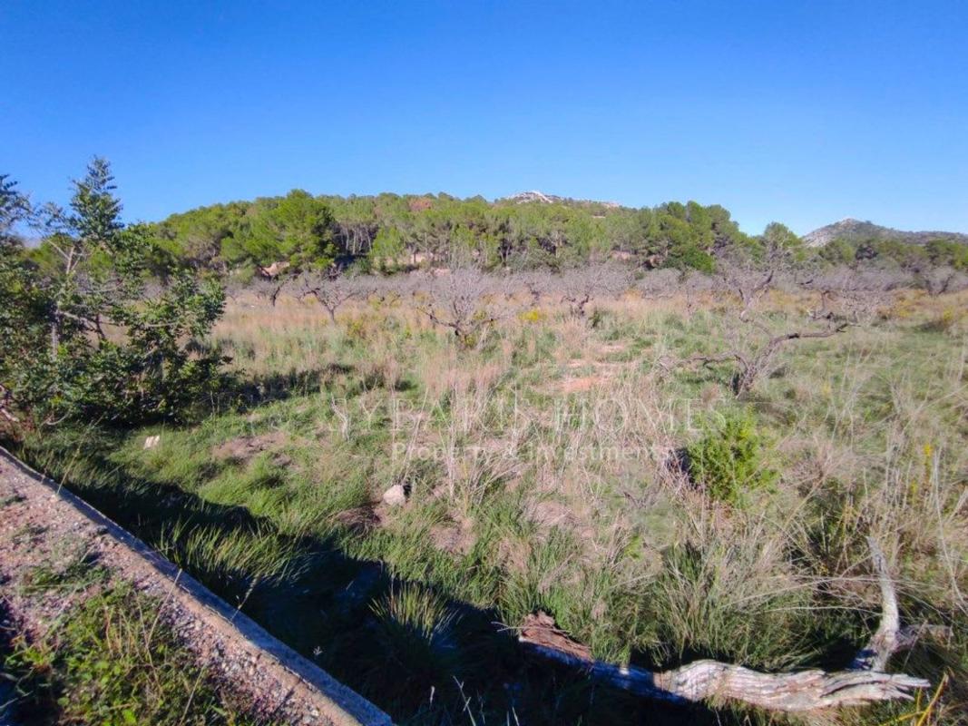 Land for sale in Murla, Alicante photo 1