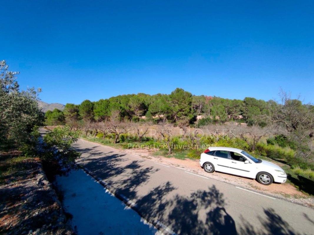 Land for sale in Murla, Alicante photo 3