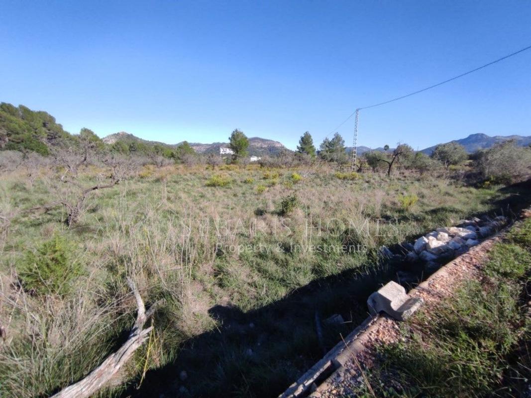 Land for sale in Murla, Alicante photo 5