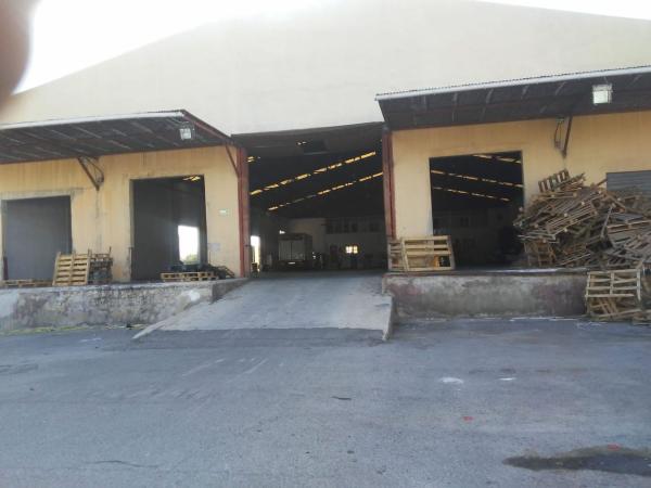 Nave en Partida Algorós, 9020, Algoda-Matola-Llano de San José, Elche / Elx photo 1