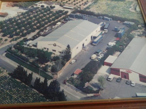 Nave en Partida Algorós, 9020, Algoda-Matola-Llano de San José, Elche / Elx thumbnail 2