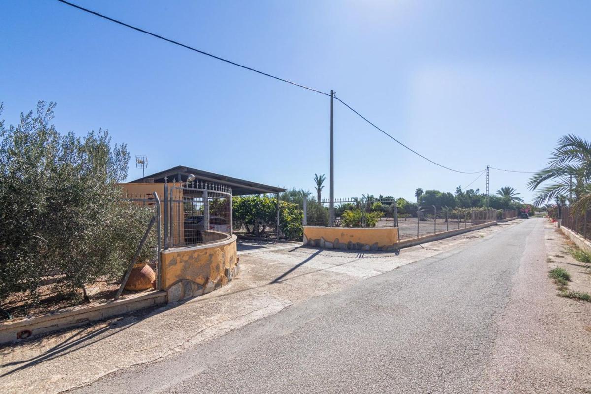 Sale of rural property in Finca rústica en Las Bayas-Asprillas, Elche / Elx , Elche / Elx photo 5