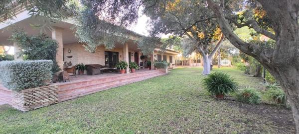 Casa o chalet independiente en Alicante Golf, Alicante / Alacant photo 4