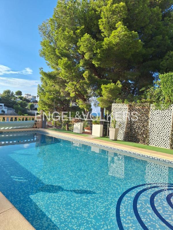 Properties for sale and rent in Spain photo 3