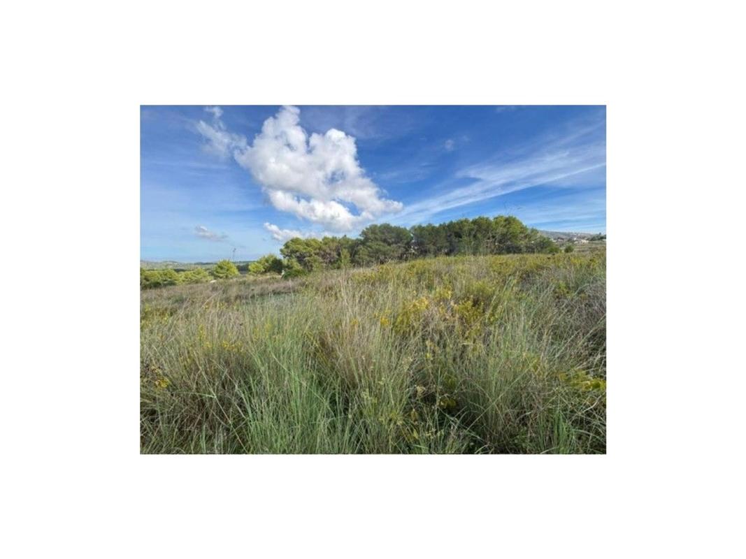 Land for sale in Benitachell, Alicante photo 2