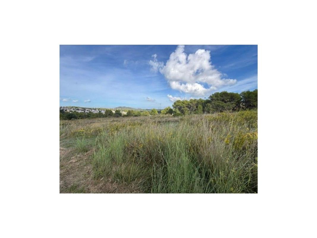 Land for sale in Benitachell, Alicante photo 4