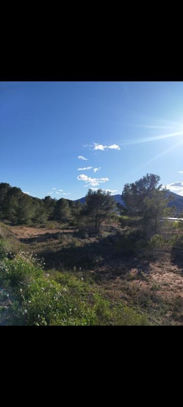 Działka na sprzedaż w Monowar, Alicante photo 4