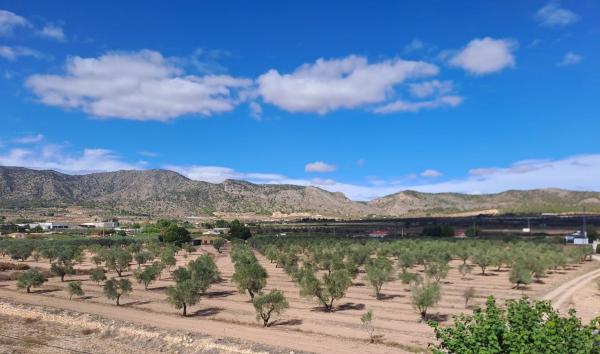 Terreno en Pasaje casa don José, 8, Salinas thumbnail 2