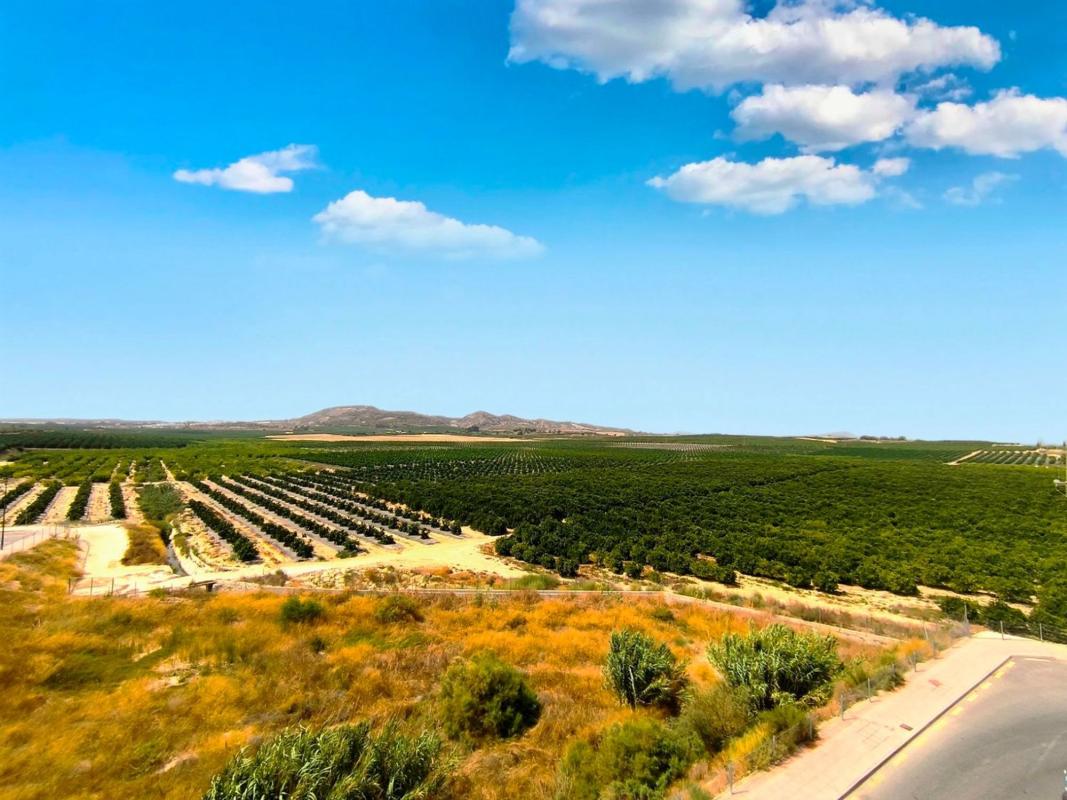 Sale of apartment in Piso en Algorfa, Algorfa
photo 3