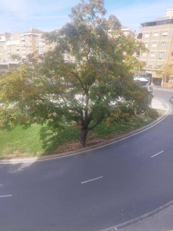 Продажа квартиры на Piso en Santo Domingo, Alicante / Alacant, Аликанте / Алакант
photo 1