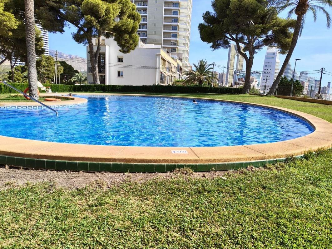 Sale of apartment in Piso en Playa de Poniente, Benidorm, Benidorm
 photo 2
