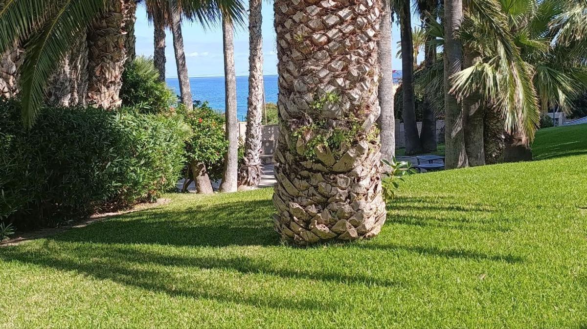 Продажа квартиры на Piso en Calle de Gaianes s/n, Pueblo Español - Coveta Fumá, El Campello, Эль Кампельо
photo 2