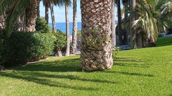 Продажа квартиры на Piso en Calle de Gaianes s/n, Pueblo Español - Coveta Fumá, El Campello, Эль Кампельо
thumbnail 2