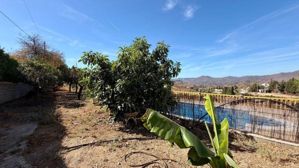 Finca rustykalna na sprzedaż w Finca rústica en Valtocado - La Alquería - La Atalaya, Mijas , Mijas thumbnail 2