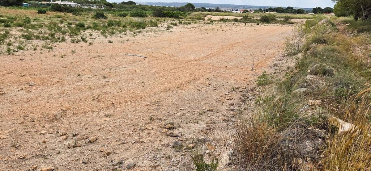Land for sale in Elche / Elx, Alicante photo 4