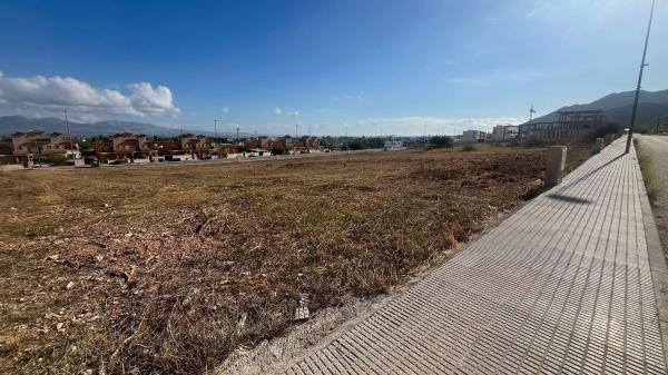 Terreno en Calle Andorra s/n, Cox photo 4