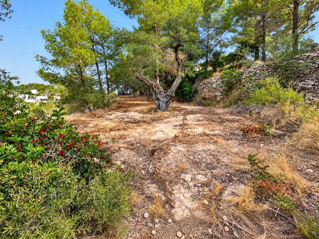 Terreno en venta en Benissa, Alicante photo 5