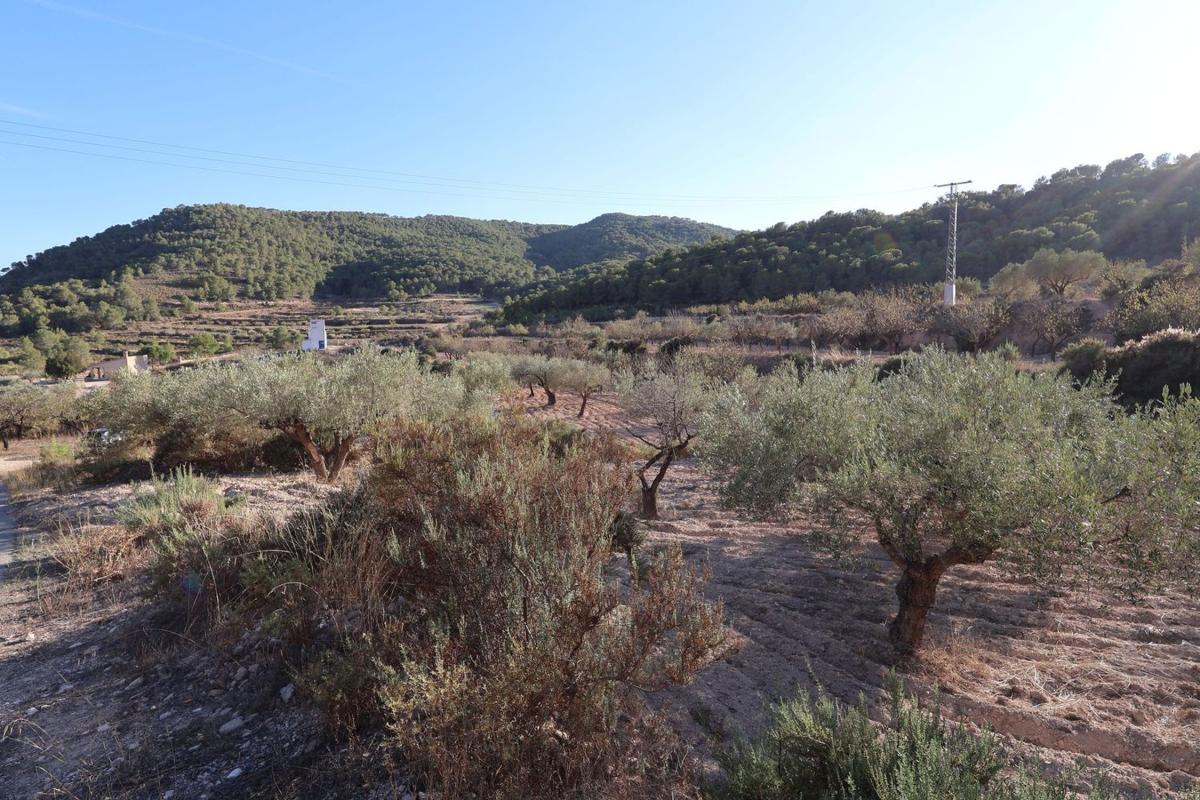 Land for sale in Tibi, Alicante photo 2