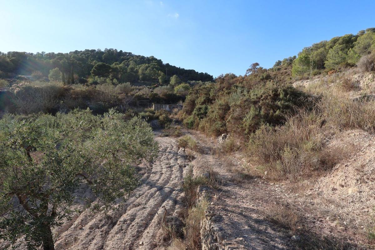 Land for sale in Tibi, Alicante photo 3