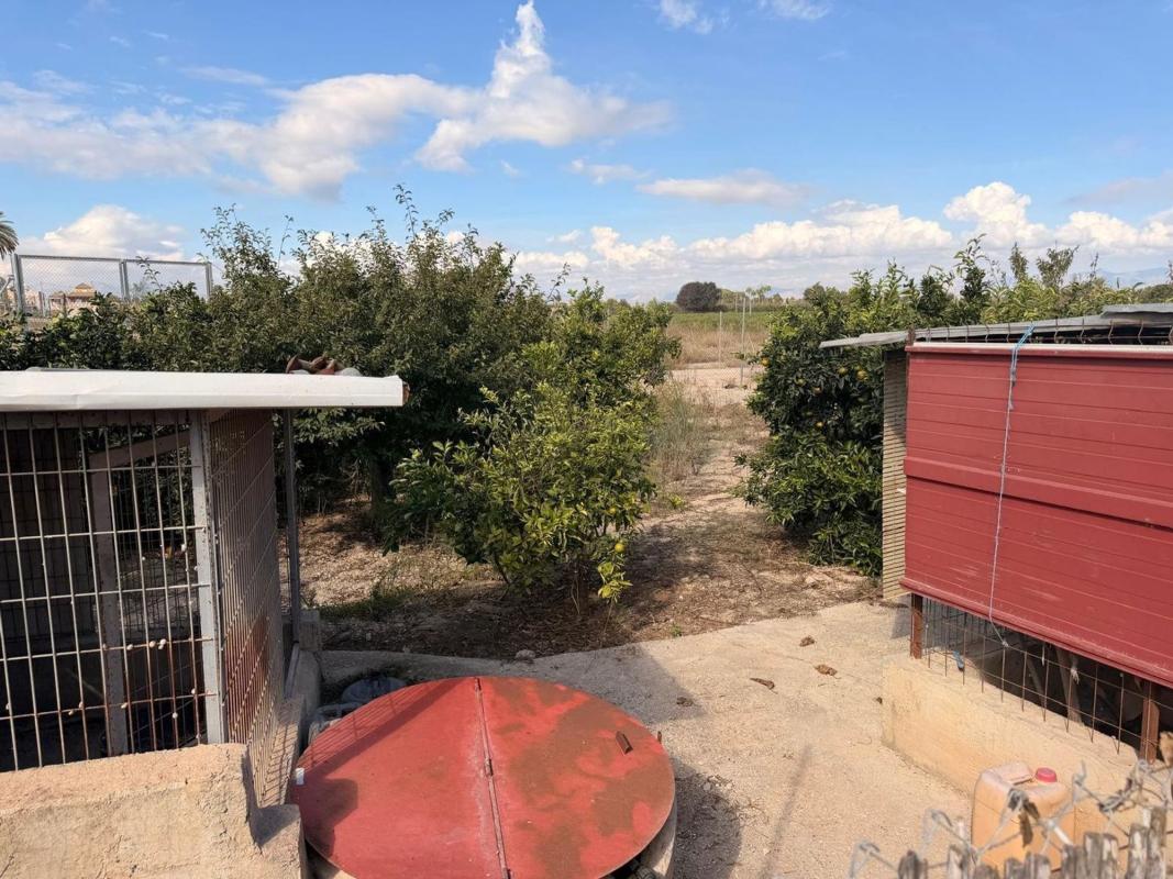 Sprzedaż działki rolnej w  Finca rústica en Algorfa , Algorfa photo 3