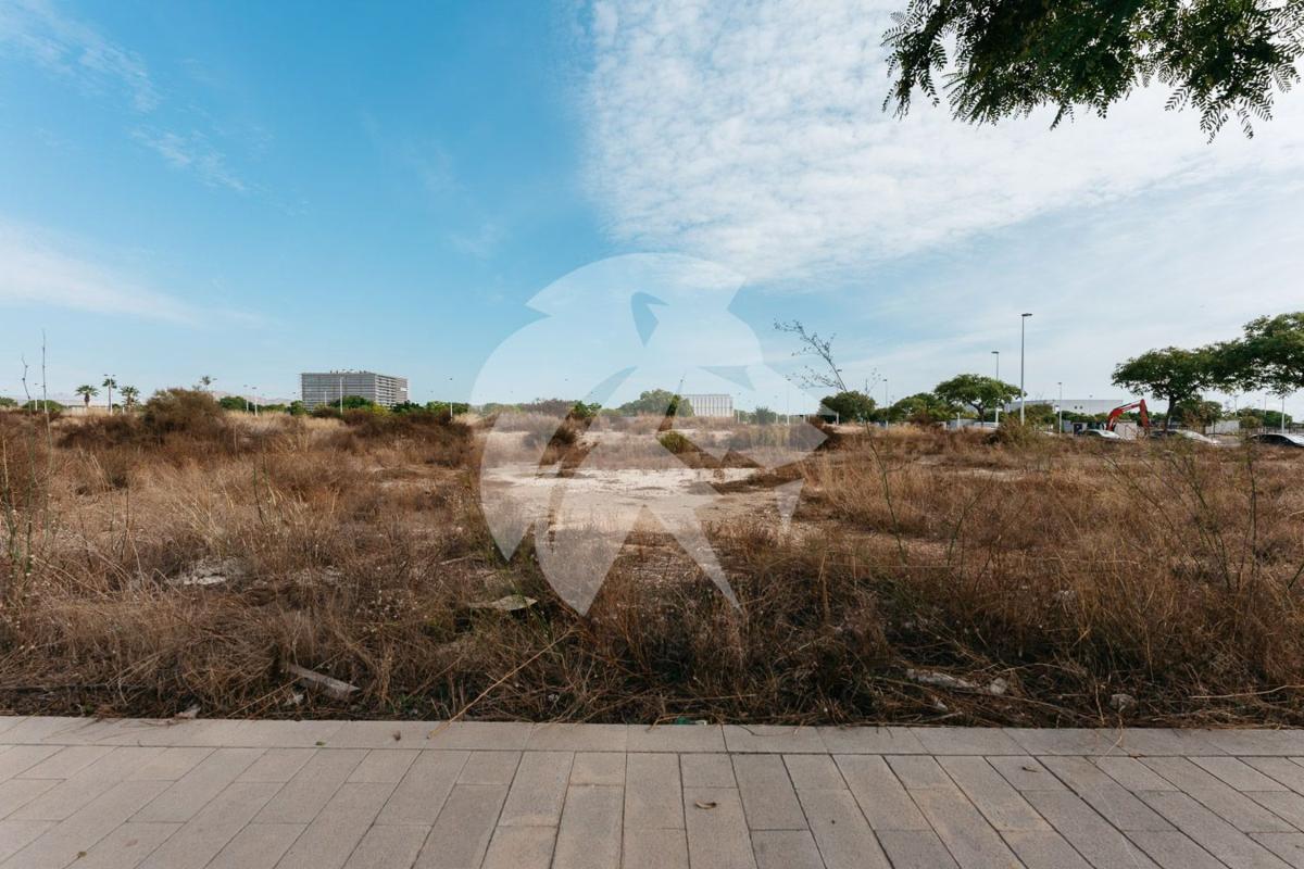 Terreno en venta en Elche / Elx, Alicante photo 3