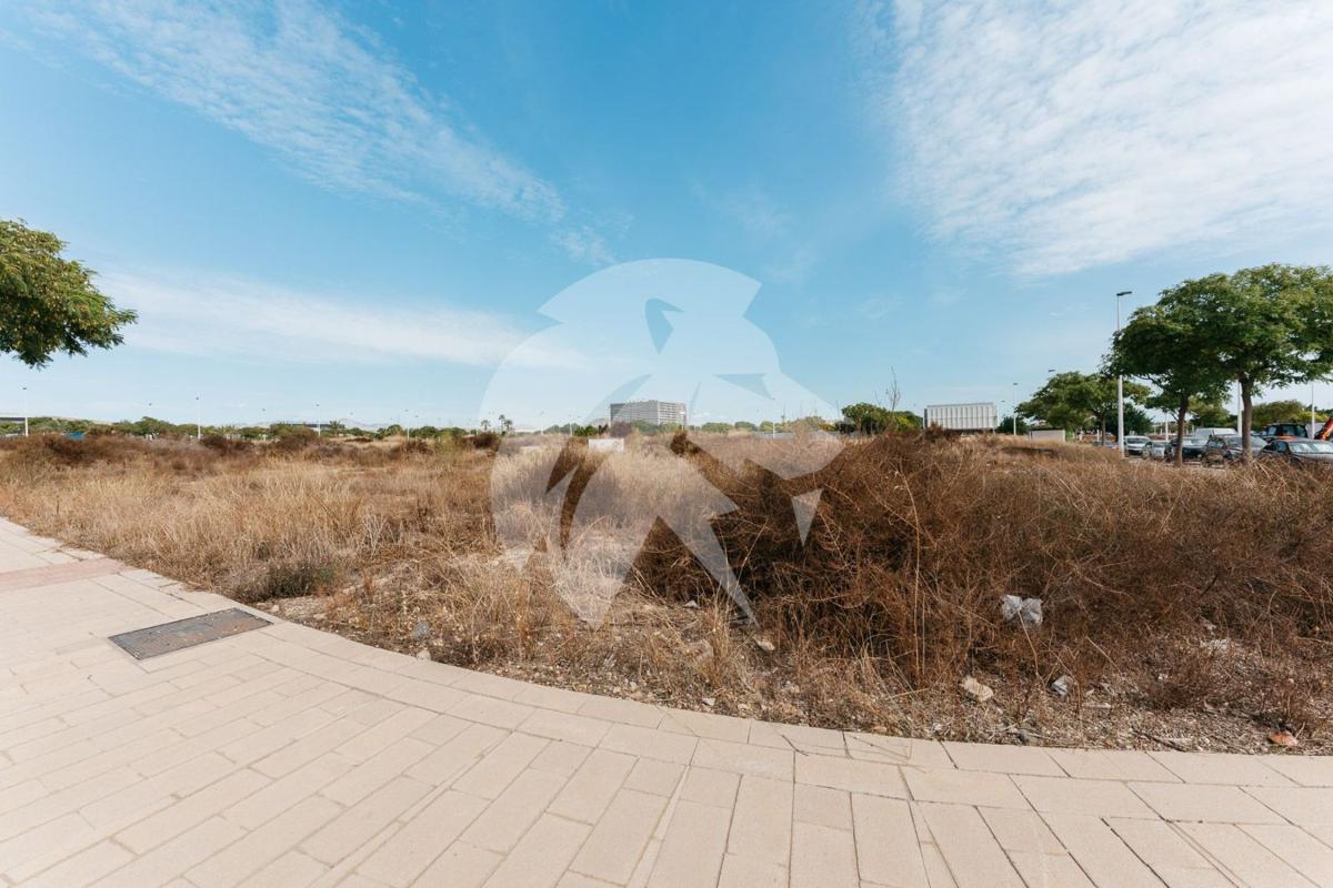 Terreno en venta en Elche / Elx, Alicante photo 4