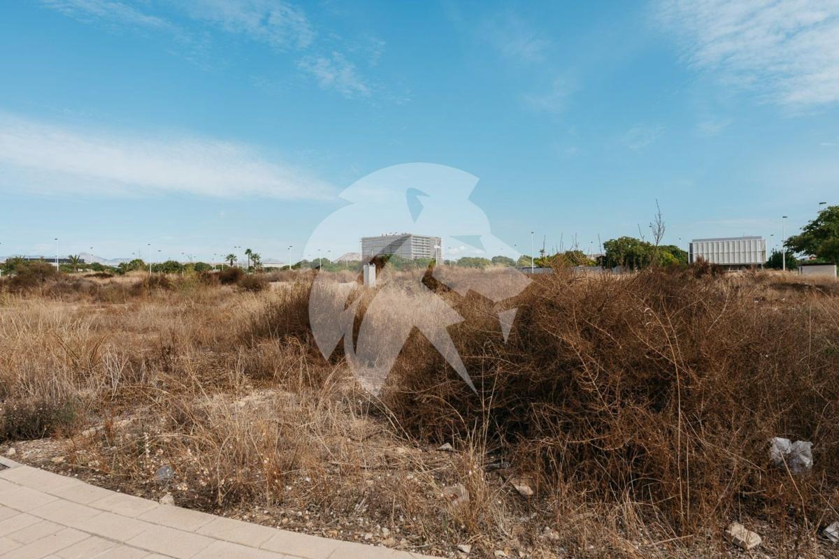 Terreno en venta en Elche / Elx, Alicante photo 5