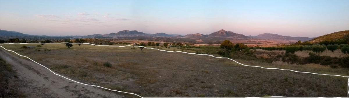 Terreno en venta en Sax, Alicante photo 5