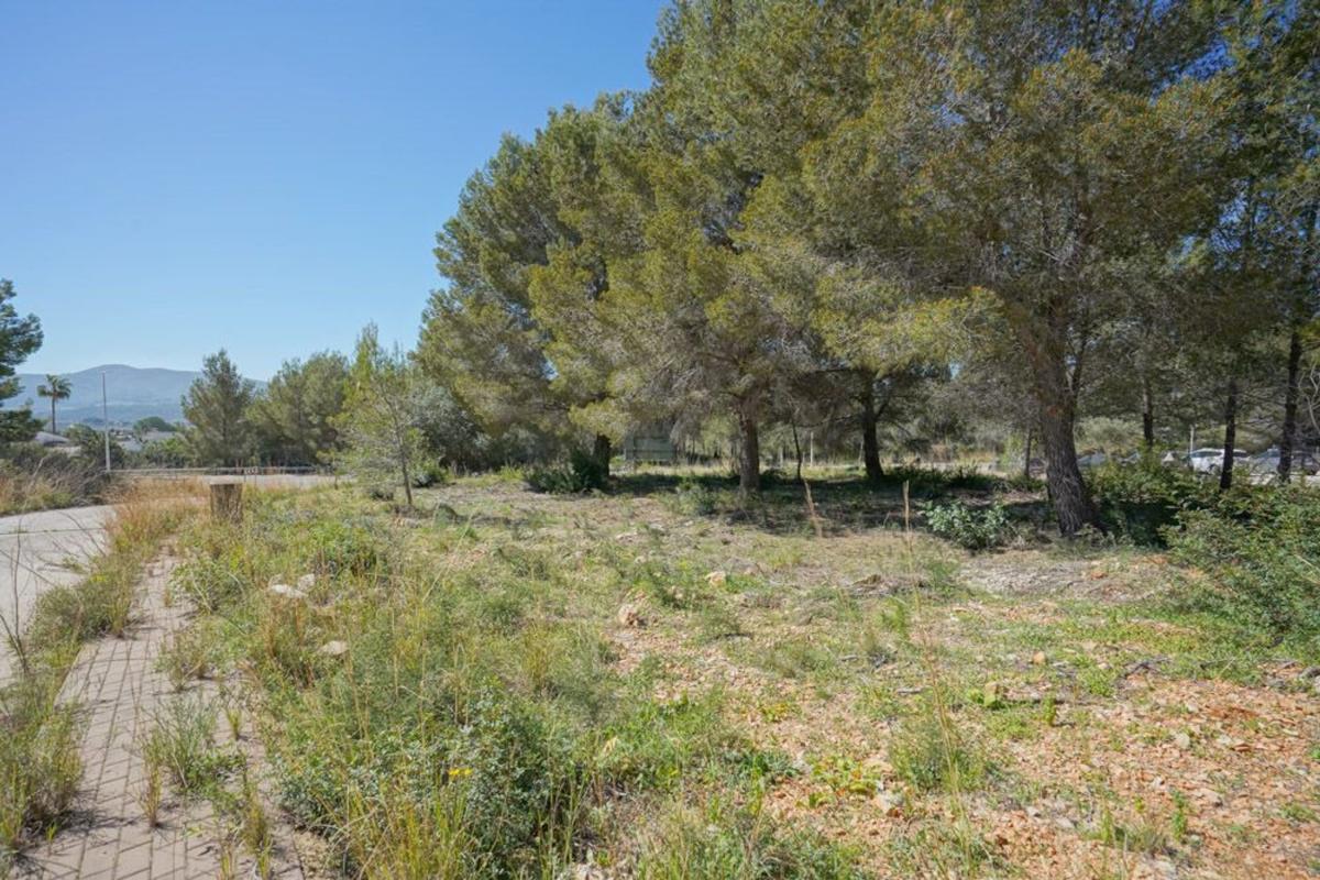 Terreno en venta en Jávea/Xàbia, Alicante photo 4