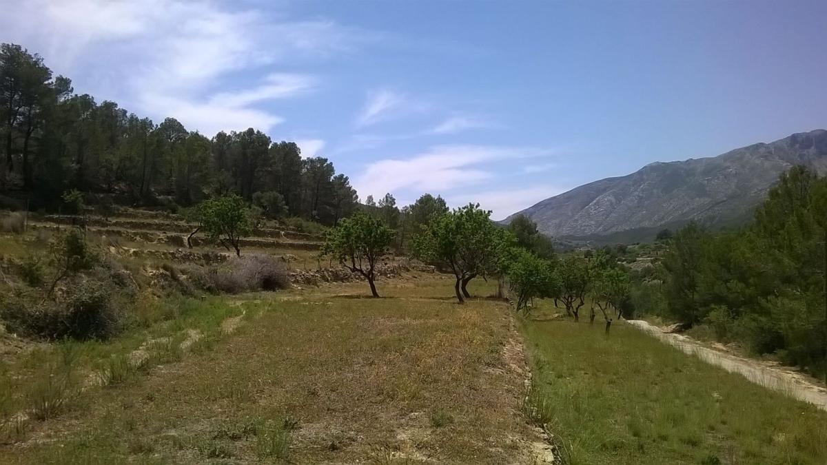 Terreno en venta en Benissa, Alicante photo 3