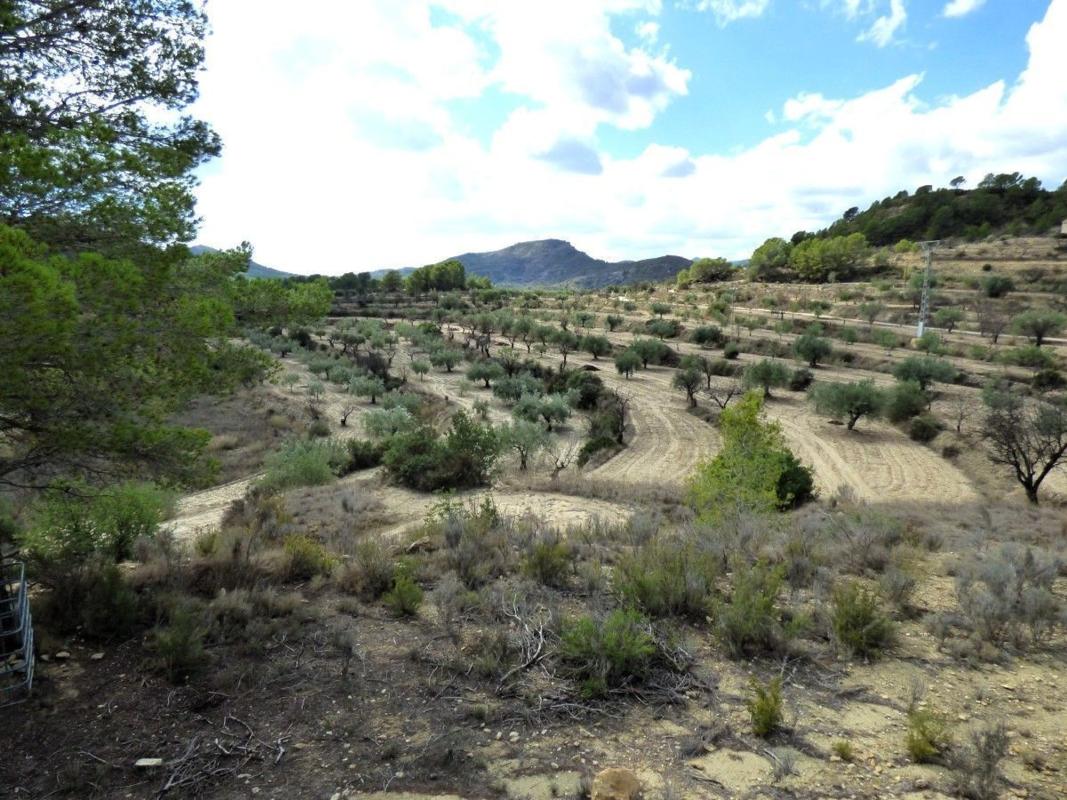 Terreno en venta en Relleu, Alicante photo 2