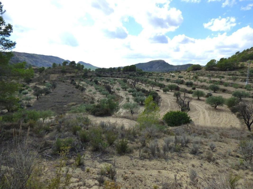 Terreno en venta en Relleu, Alicante photo 3