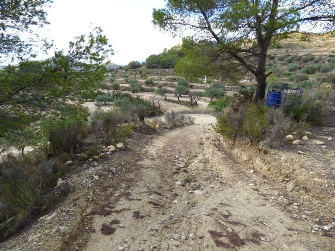 Terreno en venta en Relleu, Alicante photo 5