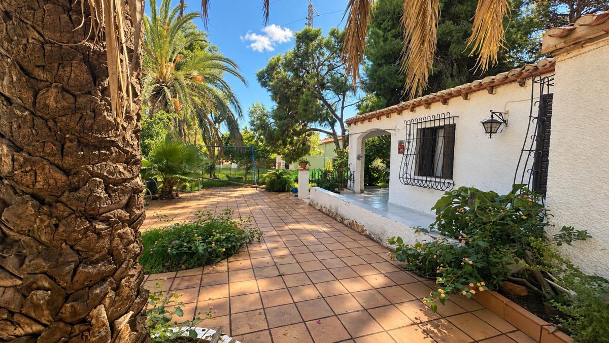Properties for sale and rent in Spain photo 3