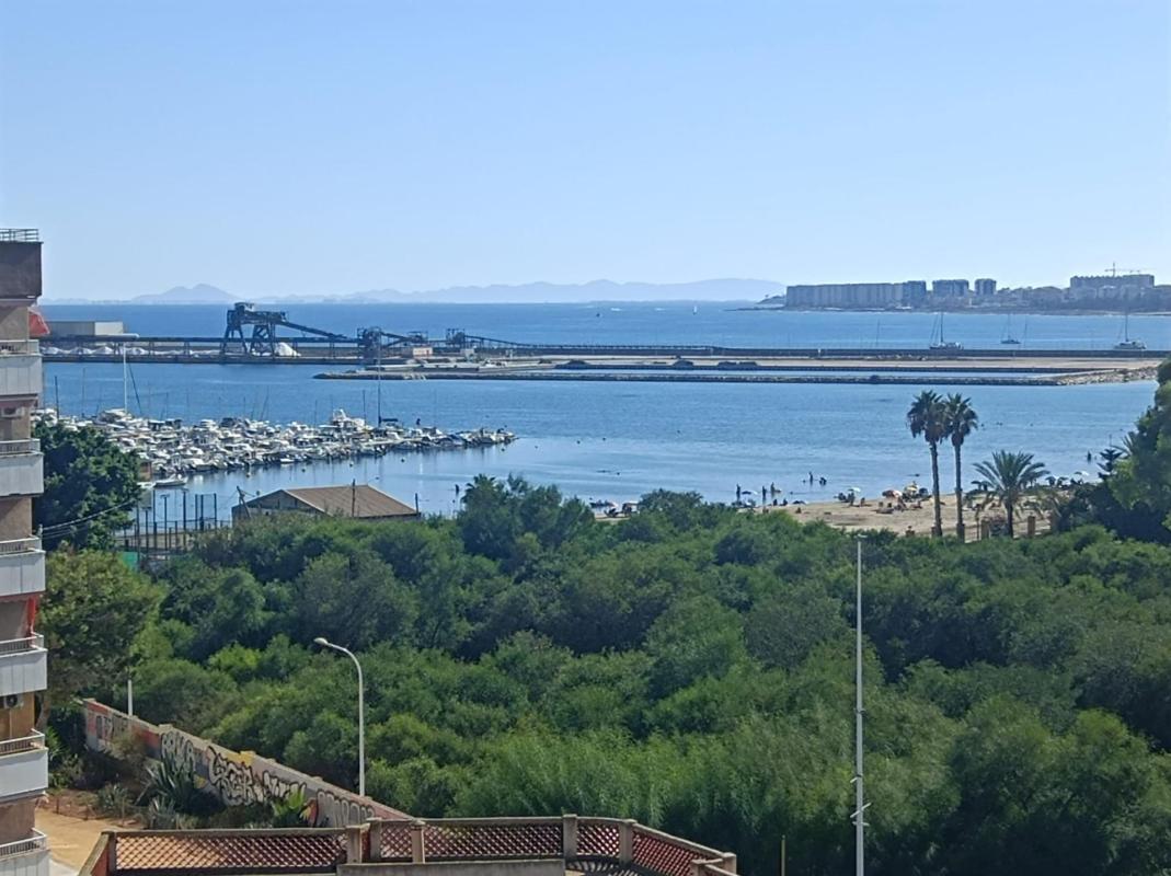 Apartamentos, Torrevieja
photo 3