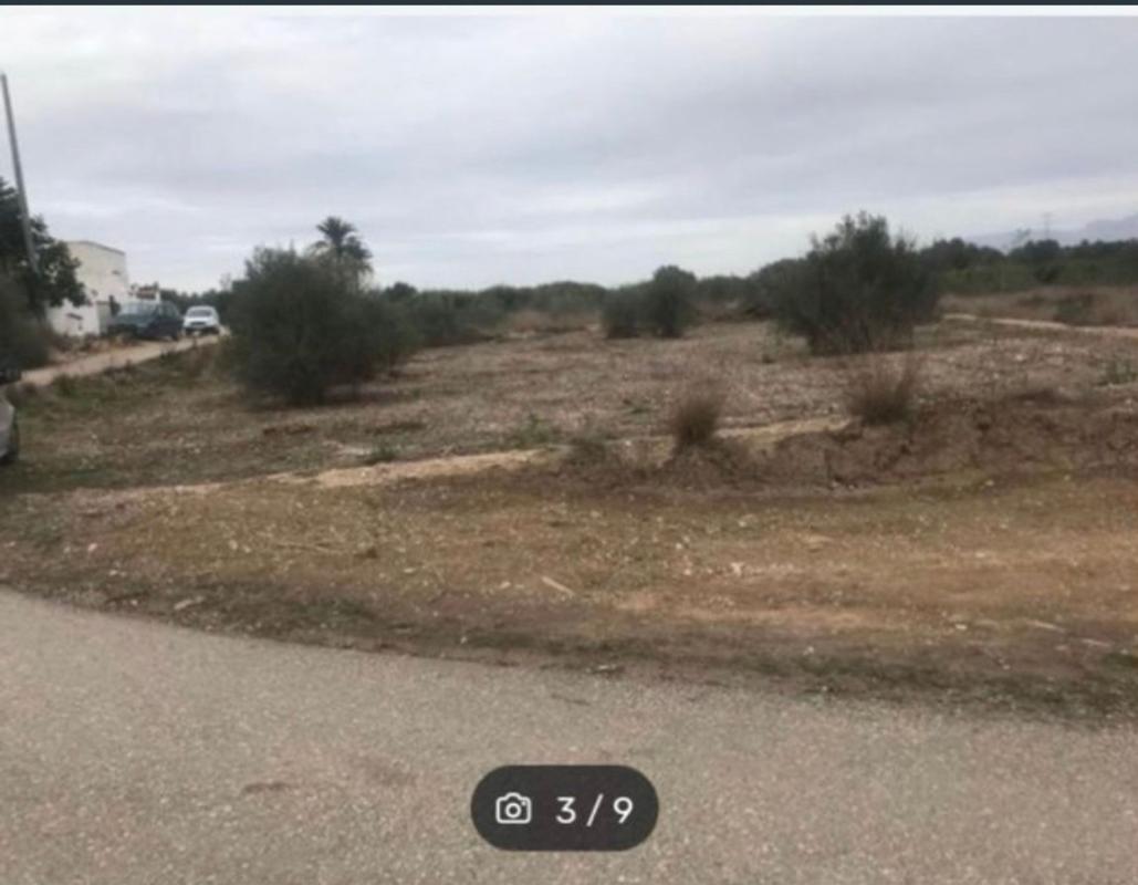 Terreno en venta en Benferri, Alicante photo 4