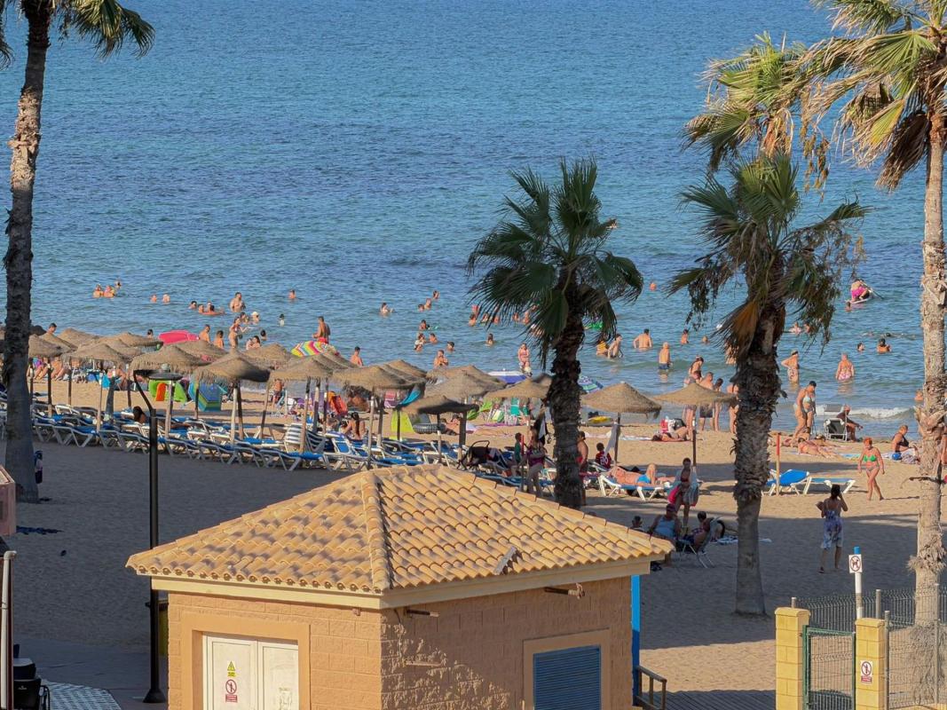 Venta de piso en Piso en Gaspar Perrelló, Torrevieja, Torrevieja
photo 3