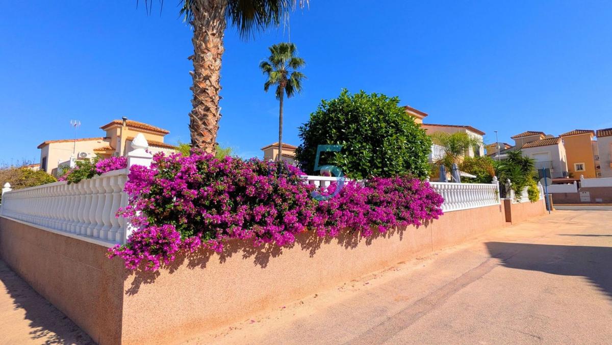 Sale of independent chalet in Casa o chalet en Algorfa, Algorfa
photo 5